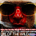 Party For The Wild (WLYB-FM 96.3 INTRO ID EDIT) - Antoine Becks vs. Down With Webster