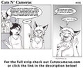 Cats n Cameras strip 105 - Blaze of indignity
