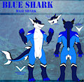 COMMISSION: Blue Shark Ref