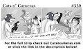 Cats n Cameras Strip #330 - Ice cream unsocial