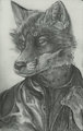[Comm] Jacket Fox Bust by SeanHart