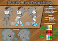 05. Sonil Reference Sheet to SonicboomTheHedgehog (COMMISSION)