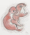 Weasel-A-Day No. 1