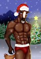 Christmas Stallion