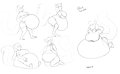 EricaSkunk belly sketchpage by Saphiros