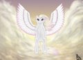 My Angel by Husky657