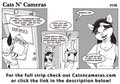 Cats n Cameras strip 106 - End of day Biohazard