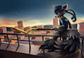Sly Cooper by KitKatChunKiss