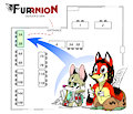 Our spot at the Furrnion