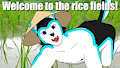 Welcome to the Rice Fields! by DrReverb
