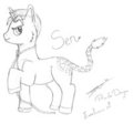 Sen Pony by Rin