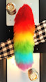 Sectioned Rainbow Tail