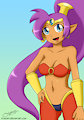 Shantae by Otakon