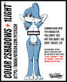 COLOR 2 SHADOWS AND 1 LIGHT COMMISSION INFO