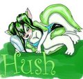 Hush by Hushky