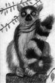 Lemur portrait 2 by Craftyandy