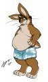 Time for some new shorts by Cappuccino 