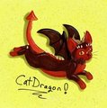 omg Cat Dragon