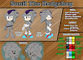 Sonil the Hedgehog by ThracemSonil