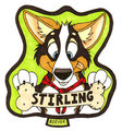 Stirling MFM Badge