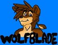 Wolfblade Icon