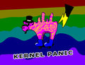 kernel panic