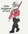 Warriors: 24th Regiment of Foot