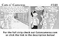 Cats n Cameras Strip #340 - In Spanish please!