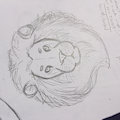 lion sketch