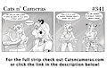 Cats n Cameras Strip #341 - I can do it!