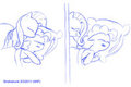 Fluttershy TLC 2 Sketch