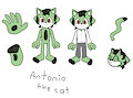 My first sonic OC :D  Antonio the cat