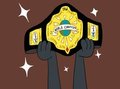 The NEW ITPW World Title Belt
