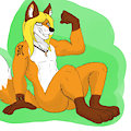 Strong Foxer^^