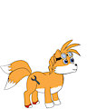 Tails pony!