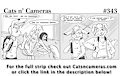 Cats n Cameras Strip #343 - Cryptology gone wrong!