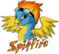 Spitfire Badge