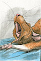 Ratty Yawn by Lizet