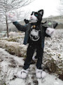 Frostcat at MFF '16