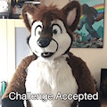 "Challenge Accepted" ASL Gif