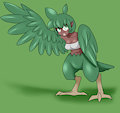 Green harpy