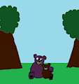 bears in the forest