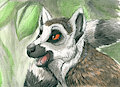 Lemur Speedpaint by Lizet
