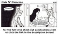 Cats n Cameras Strip 107 - Post it reminders!
