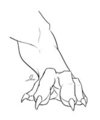 Humanoid Lion Paw