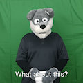 "What about this?" ASL gif