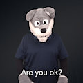 "Are you ok?" ASL gif