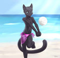 Volleyball, woo! by Retrospecter