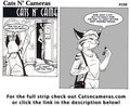 Cats n Cameras Strip 108 - End of her day