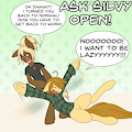 ask silvy open